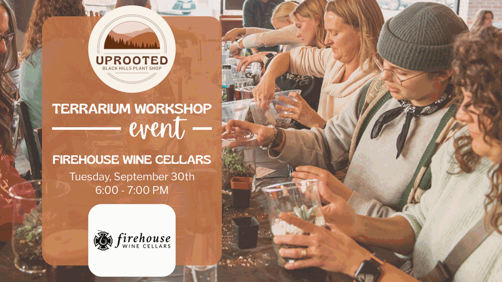 Terrarium Workshop with UPROOTED